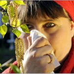 Junge Frau schnaubt neben Birkenpollen. young woman sniffs behind pollen from birch