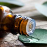 Eukalyptus – Öl und Eukalyptusblätter